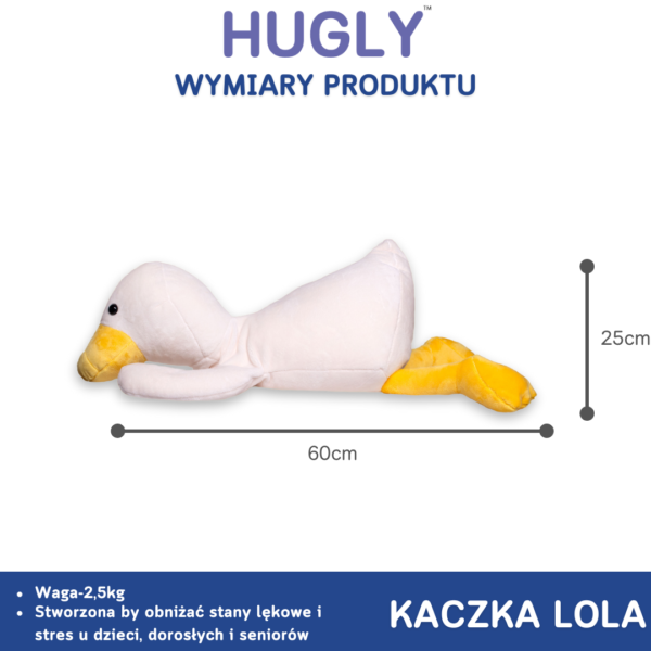 Kaczka Lola - Wymiary