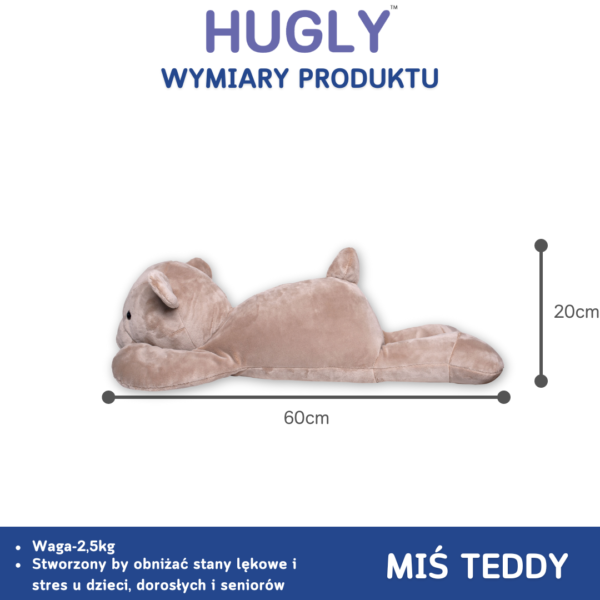 Miś Teddy - Wymiary