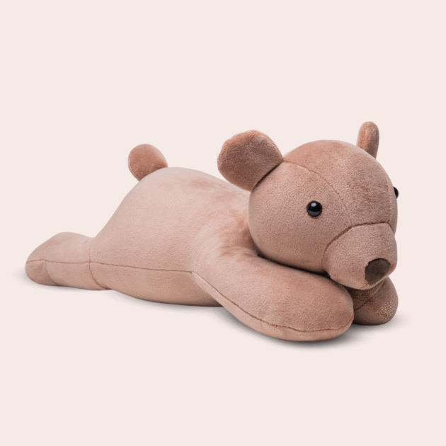 Miś Teddy