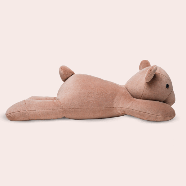 Miś Teddy - obrazek 3