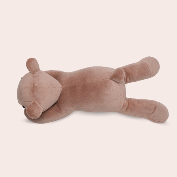 Miś Teddy - obrazek 4