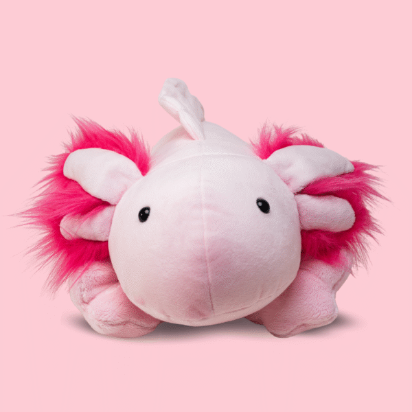 Aksolotl Lilo - obrazek 3
