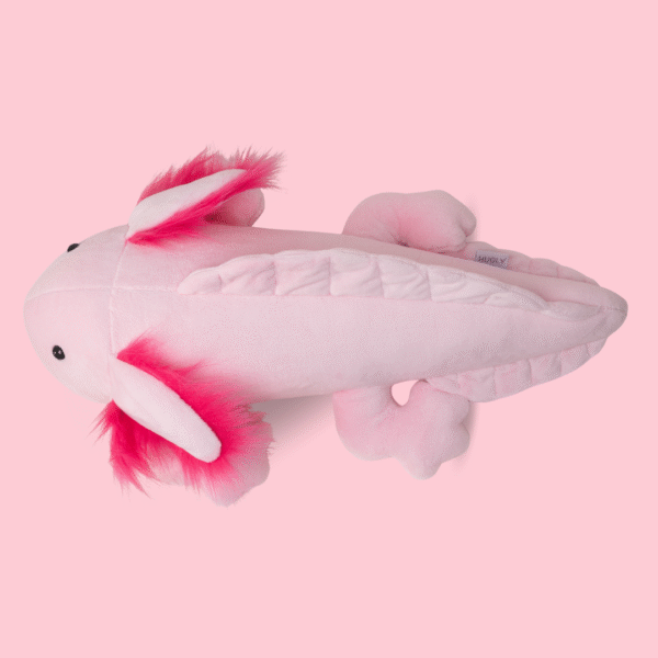 Aksolotl Lilo - obrazek 4