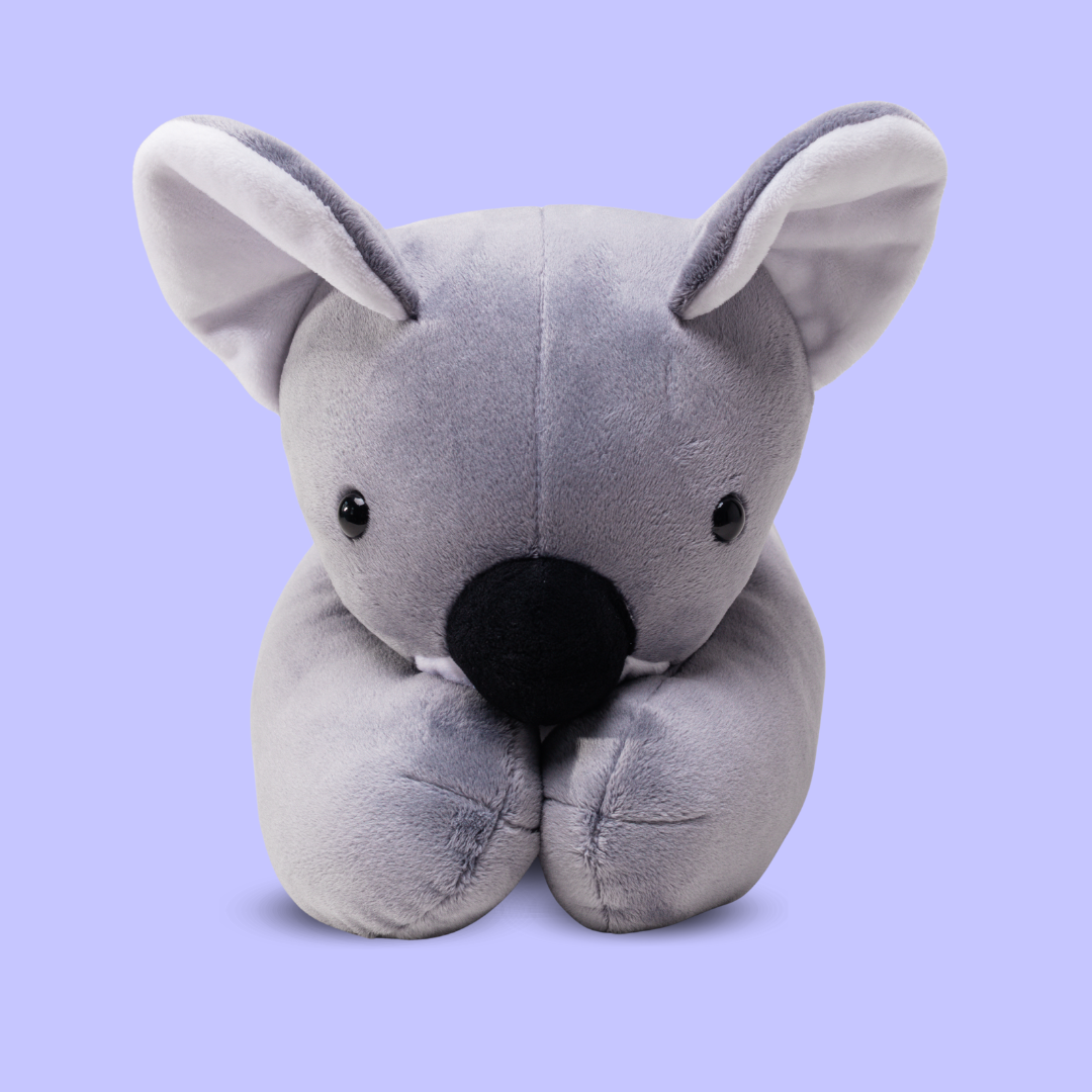 Koala Kiki - obrazek 2