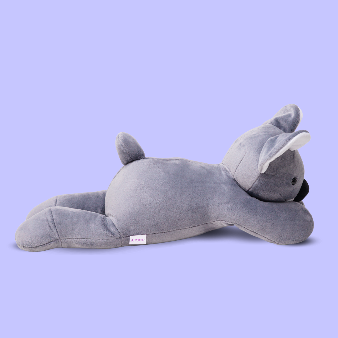 Koala Kiki - obrazek 3