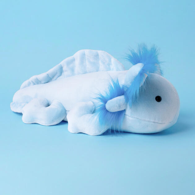 Aksolotl Milo