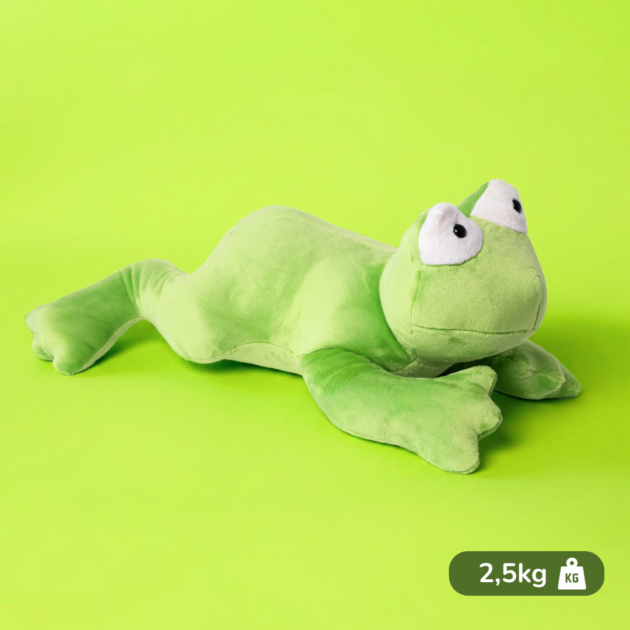 Żabka Kimi