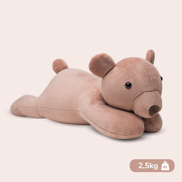 Miś Teddy