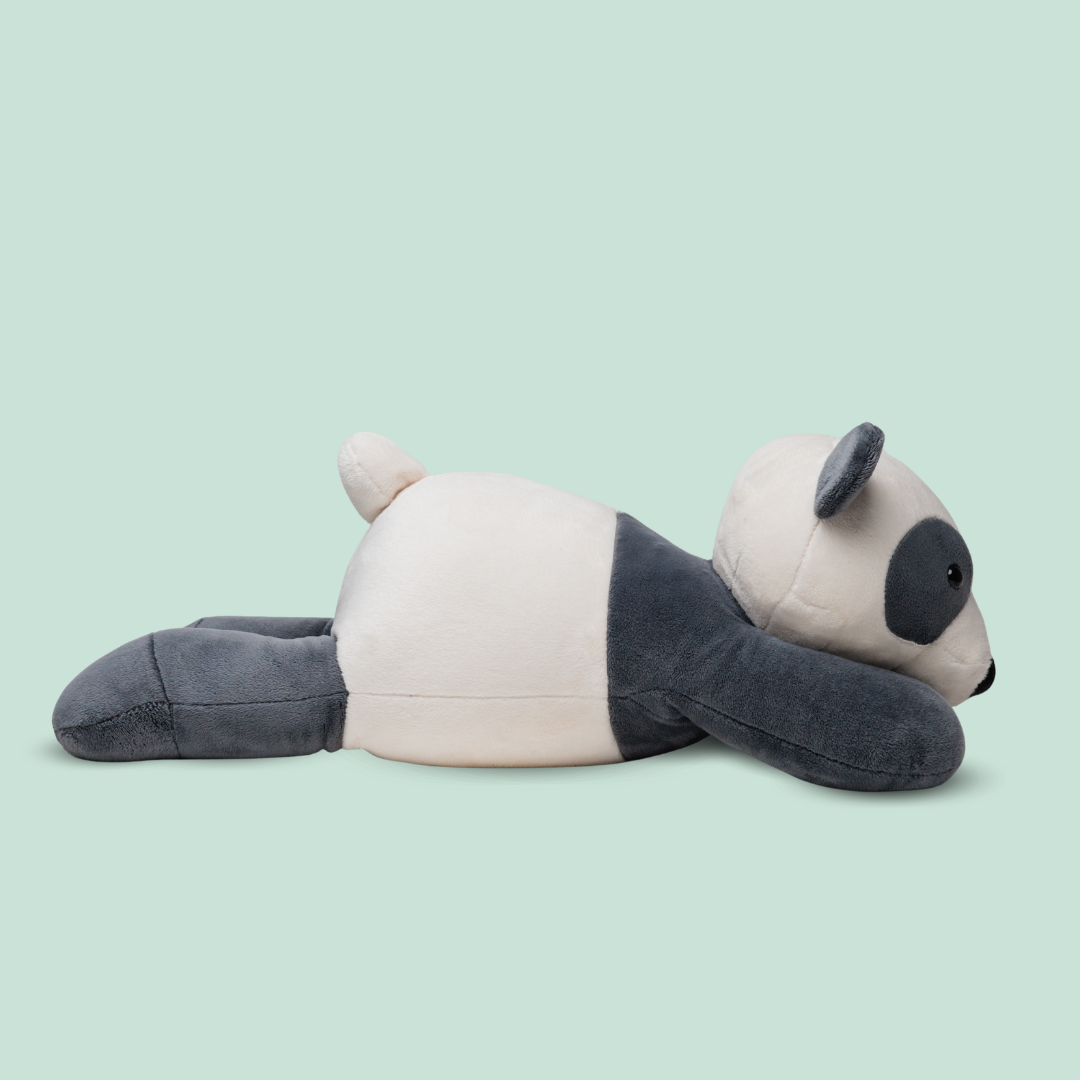 Panda Coco - obrazek 3