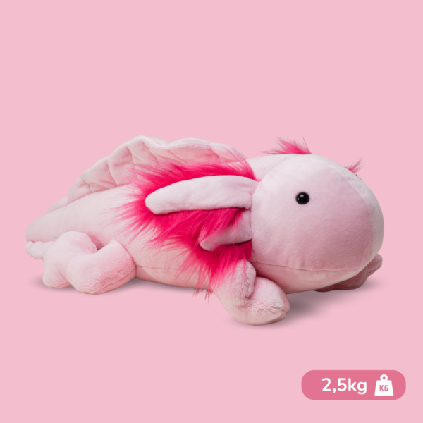 Aksolotl Lilo