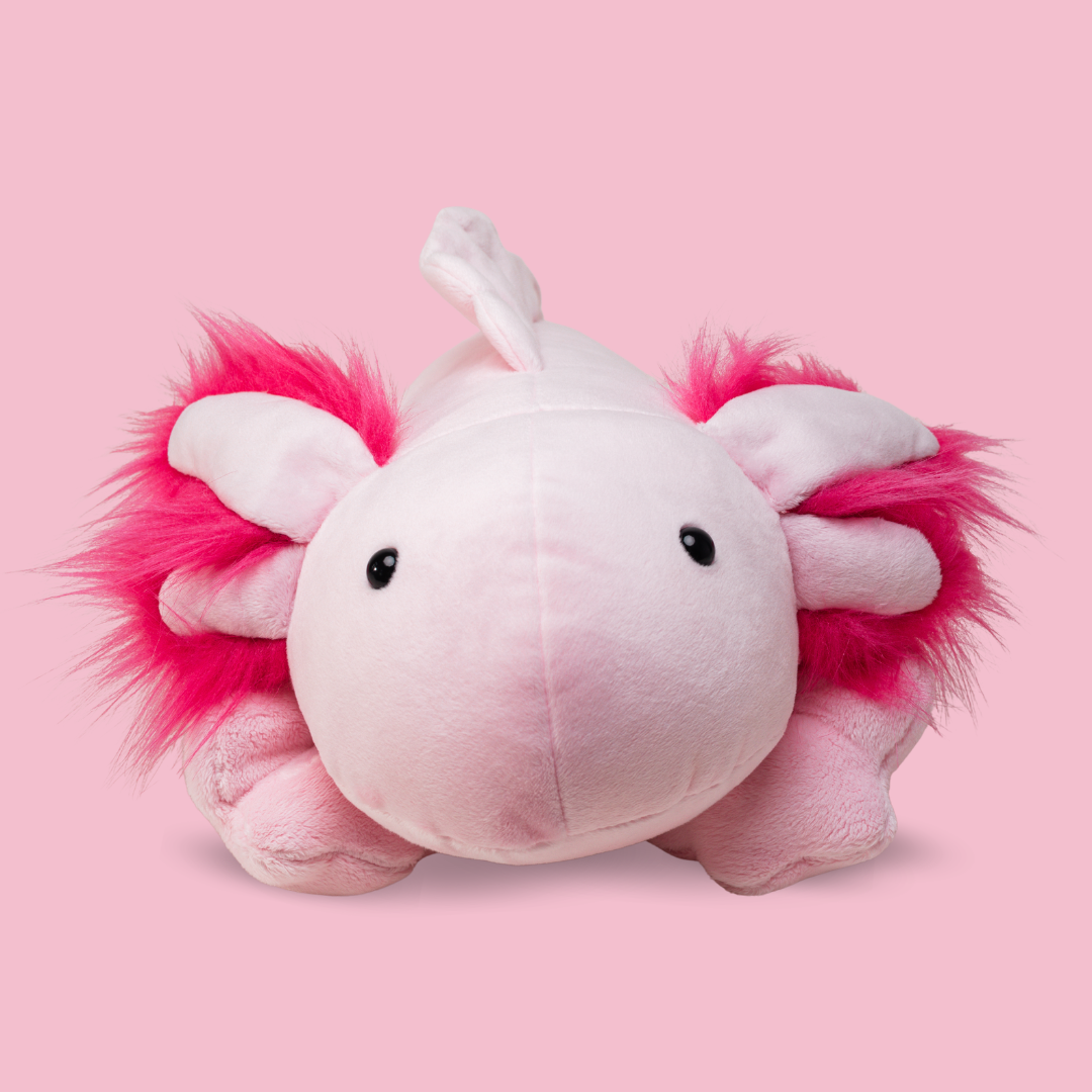 Aksolotl Lilo - obrazek 5