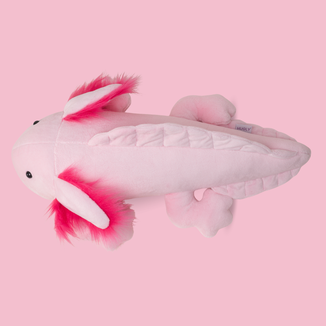 Aksolotl Lilo - obrazek 3