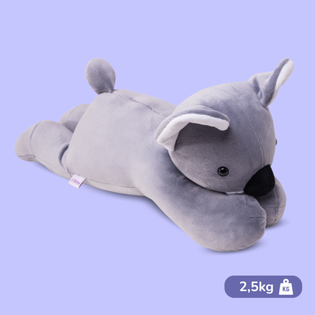 Koala Kiki